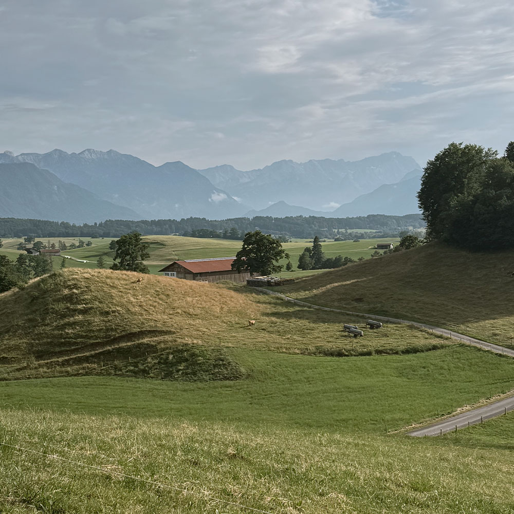 Ausblick